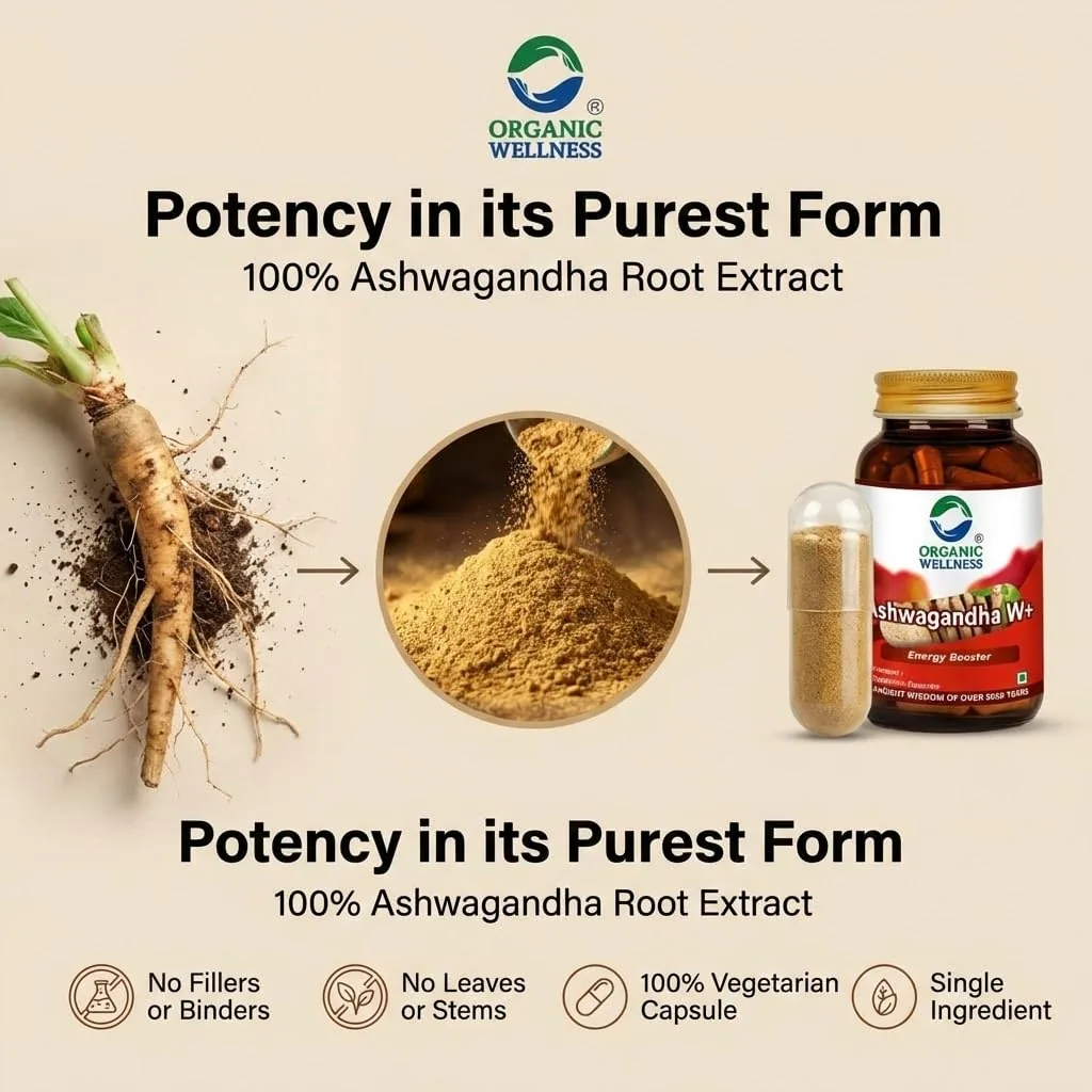 Organic Wellness Ashwagandha W+ Capsules | Natural Adaptogen Supplement | Stress Relief & Vitality Support-2