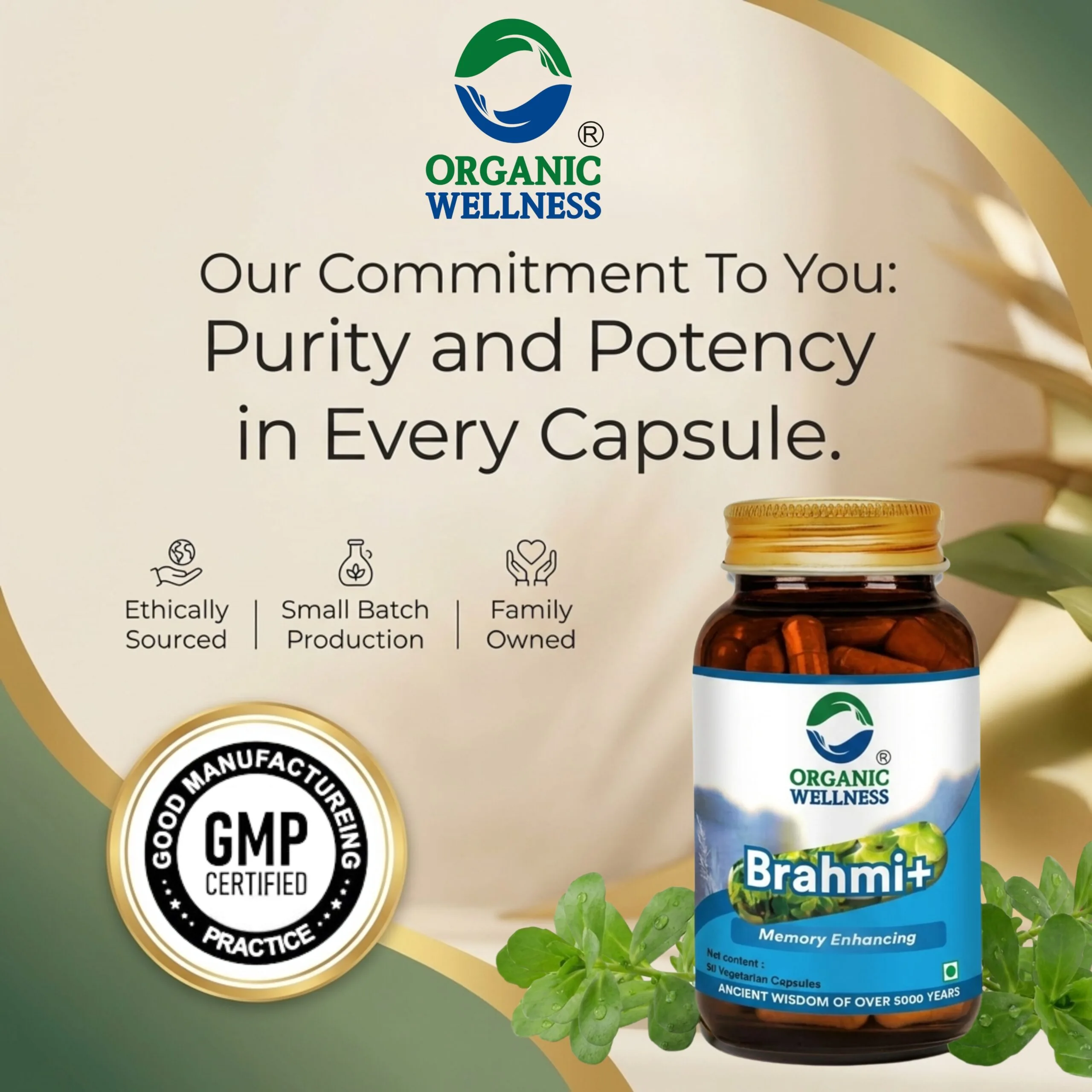 Organic Wellness Brahmi+ | Ayurvedic Cognitive Support | Vegetarian Capsules for Mental Clarity-4