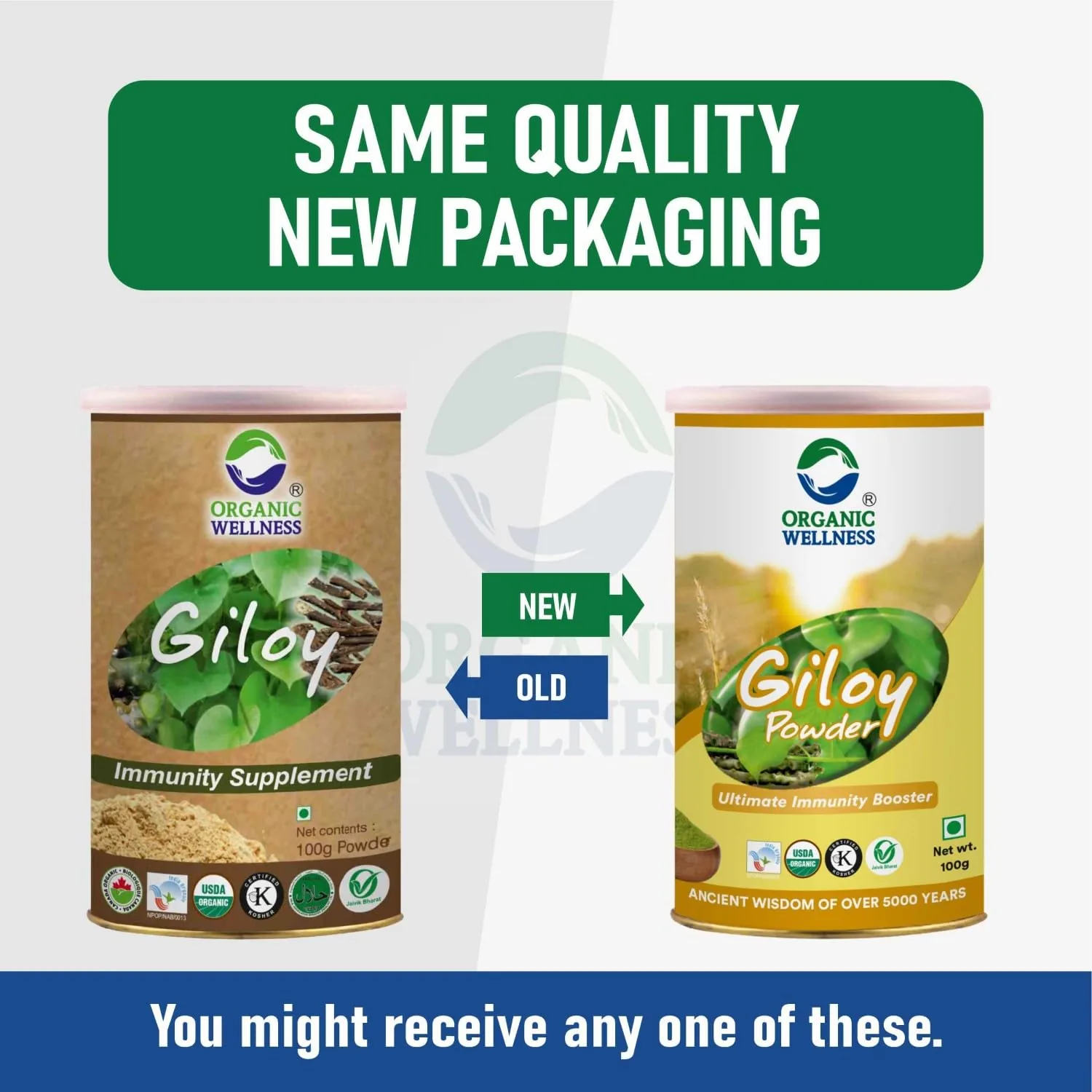 Organic Wellness Giloy Powder | Pure Guduchi Churna | Natural Immunity & Antioxidant Support-3