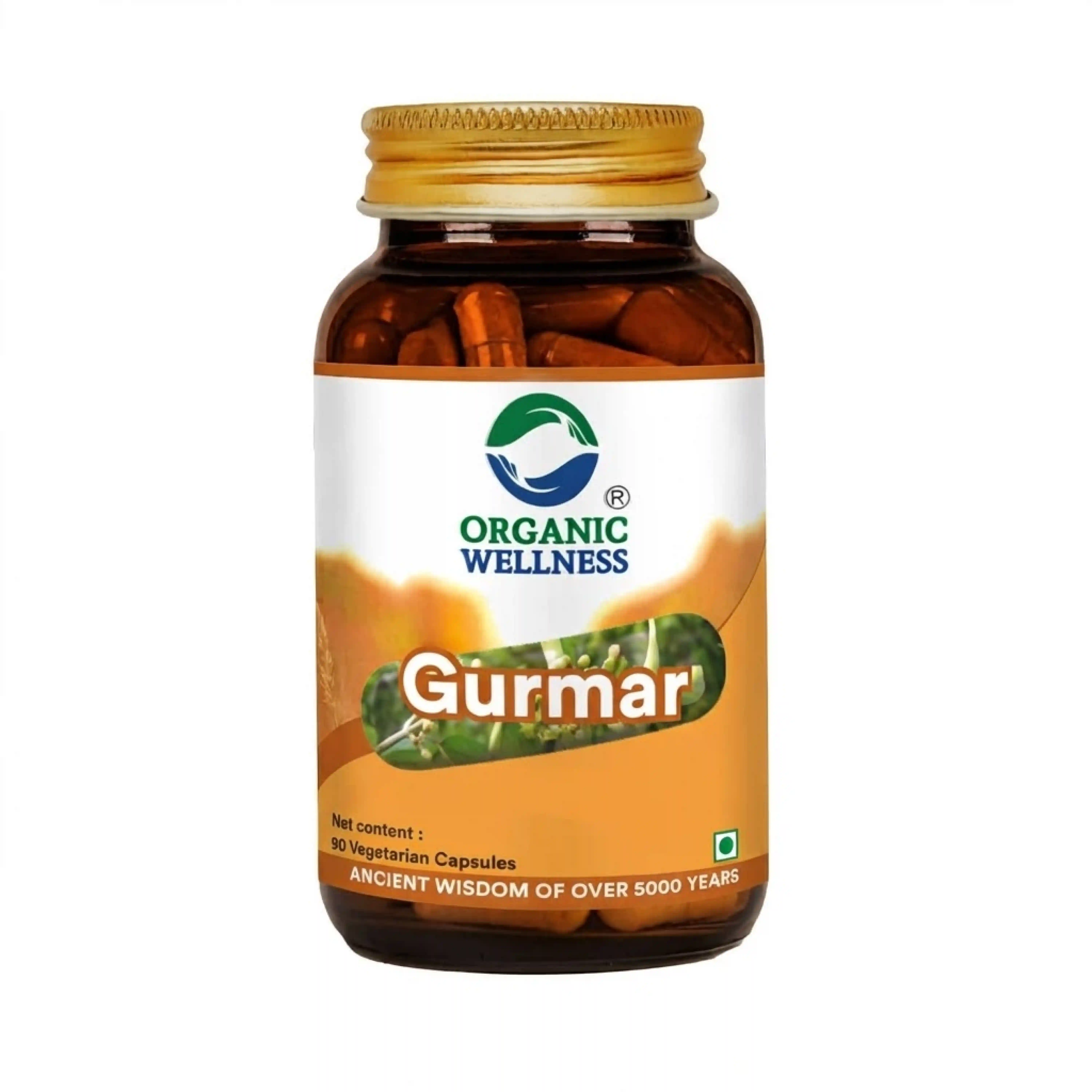 Organic Wellness Gurmar Vegetarian Capsules