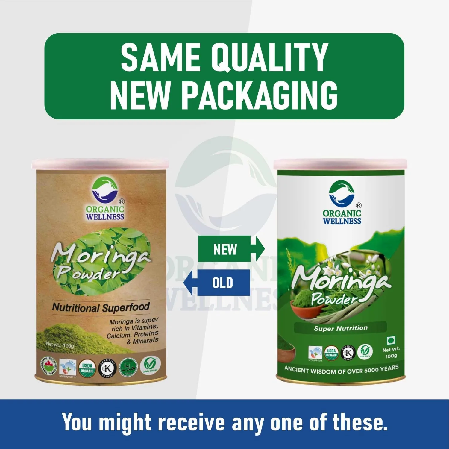Organic Wellness Moringa Powder | Pure Leaf Superfood | Nutrient-Rich Ayurvedic Supplement-5