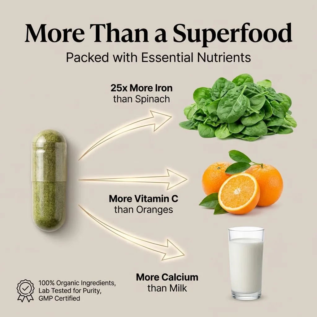 Organic Wellness Moringa Super Nutrition | Organic Herbal Supplement | Natural Immunity and Energy Support-4