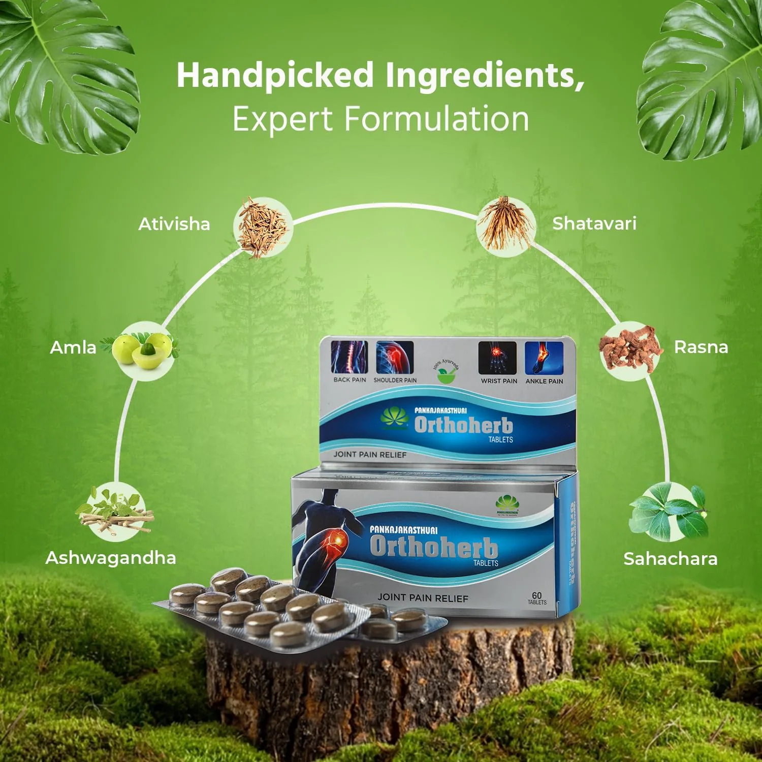 Pankajakasthuri Orthoherb Tablets | Ayurvedic Joint Care | Natural Relief from Stiffness and Swelling-2