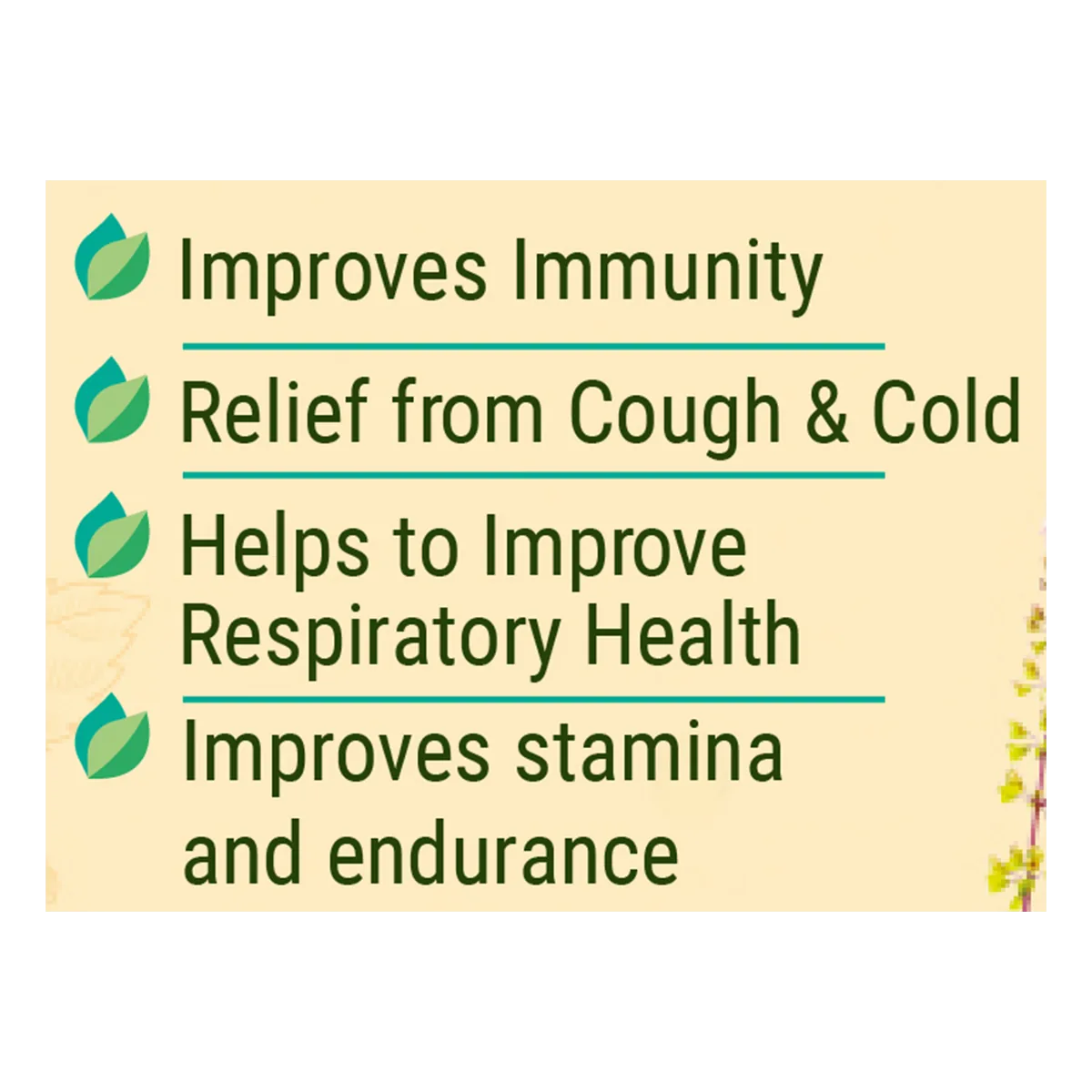 Patanjali Divya Shila Tulsi Drops | Ayurvedic Immunity Booster | Respiratory Health Support-2