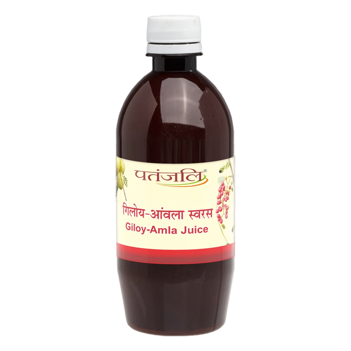 Patanjali Giloy Amla Juice | Ayurvedic Immunity Booster | Natural Giloy & Amla Extract-2