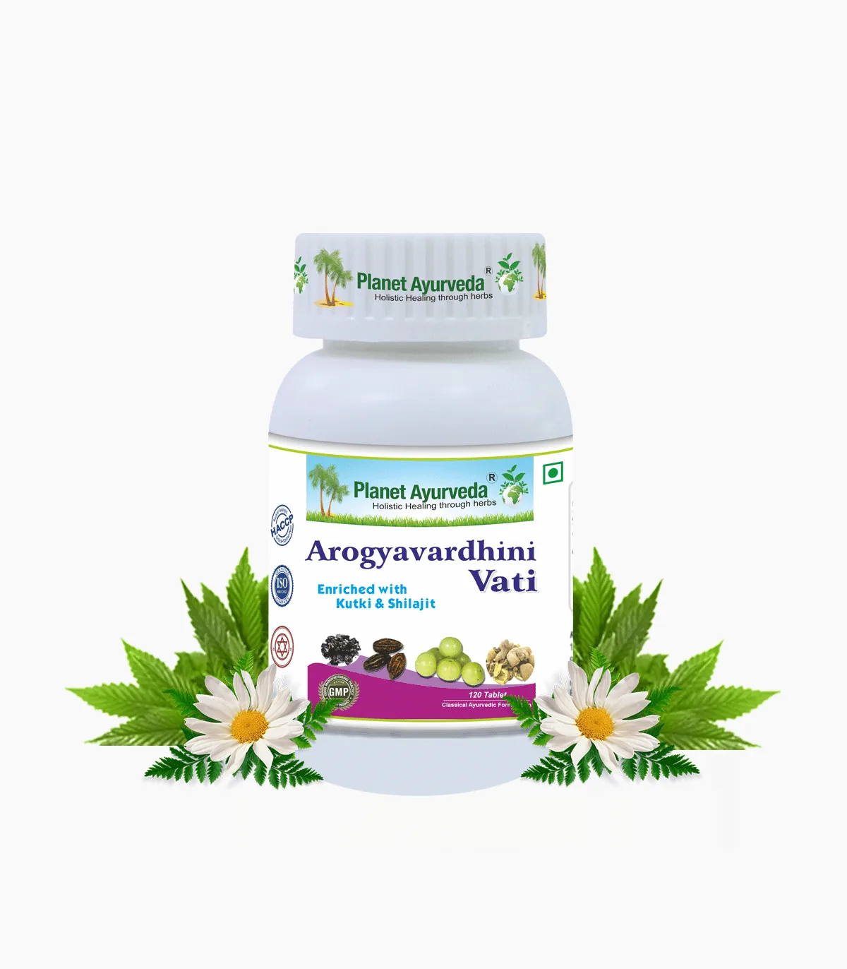 Planet Ayurveda Arogayavardhini Vati Tablet