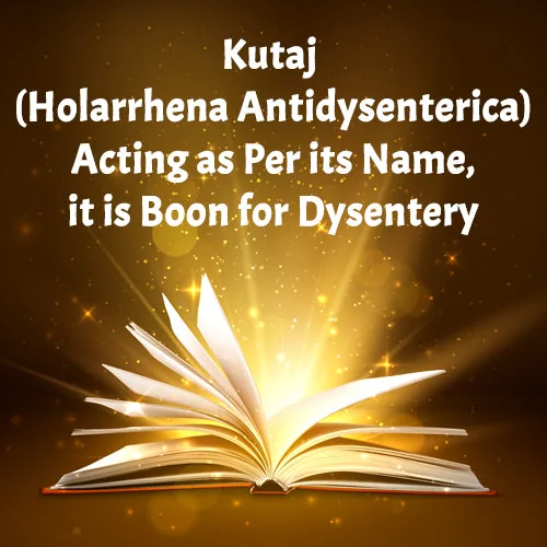Planet Ayurveda Kutajghan Vati | Natural Ayurvedic Tablets | Digestive and Intestinal Support-8