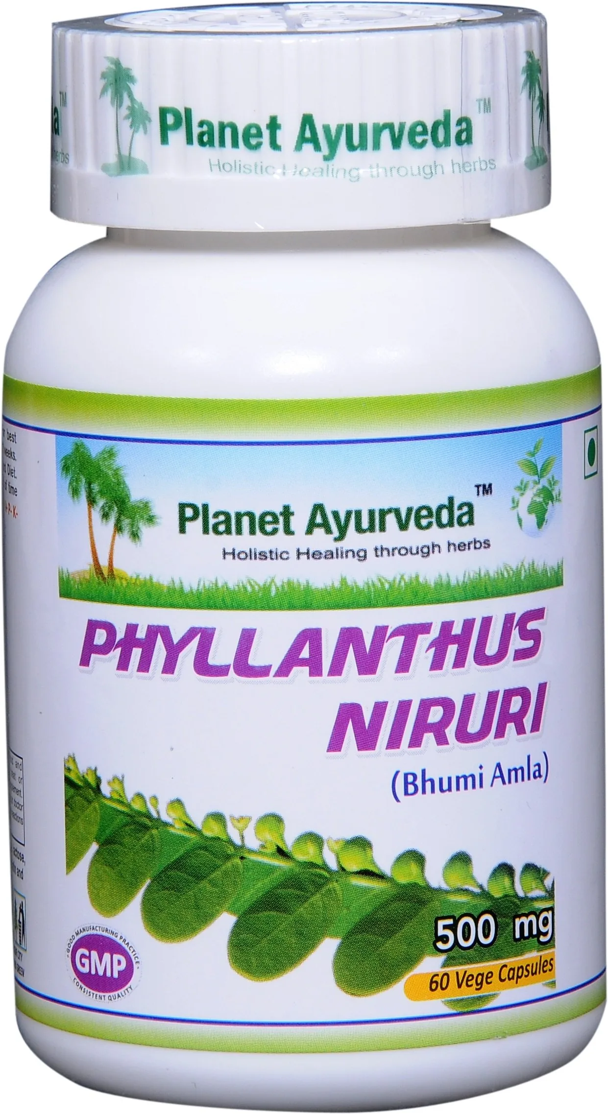 Planet Ayurveda Phyllanthus Niruri Capsules