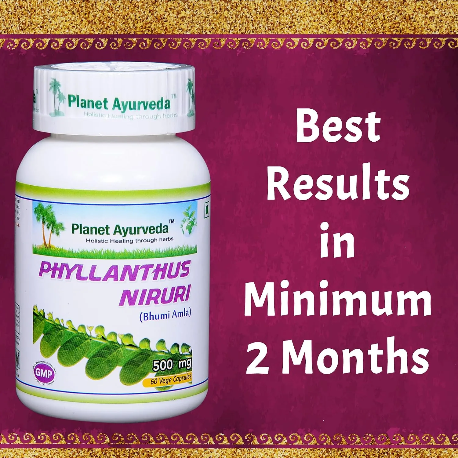 Planet Ayurveda Phyllanthus Niruri Capsules | Pure Bhumiamla Extract | Natural Liver and Kidney Support-3