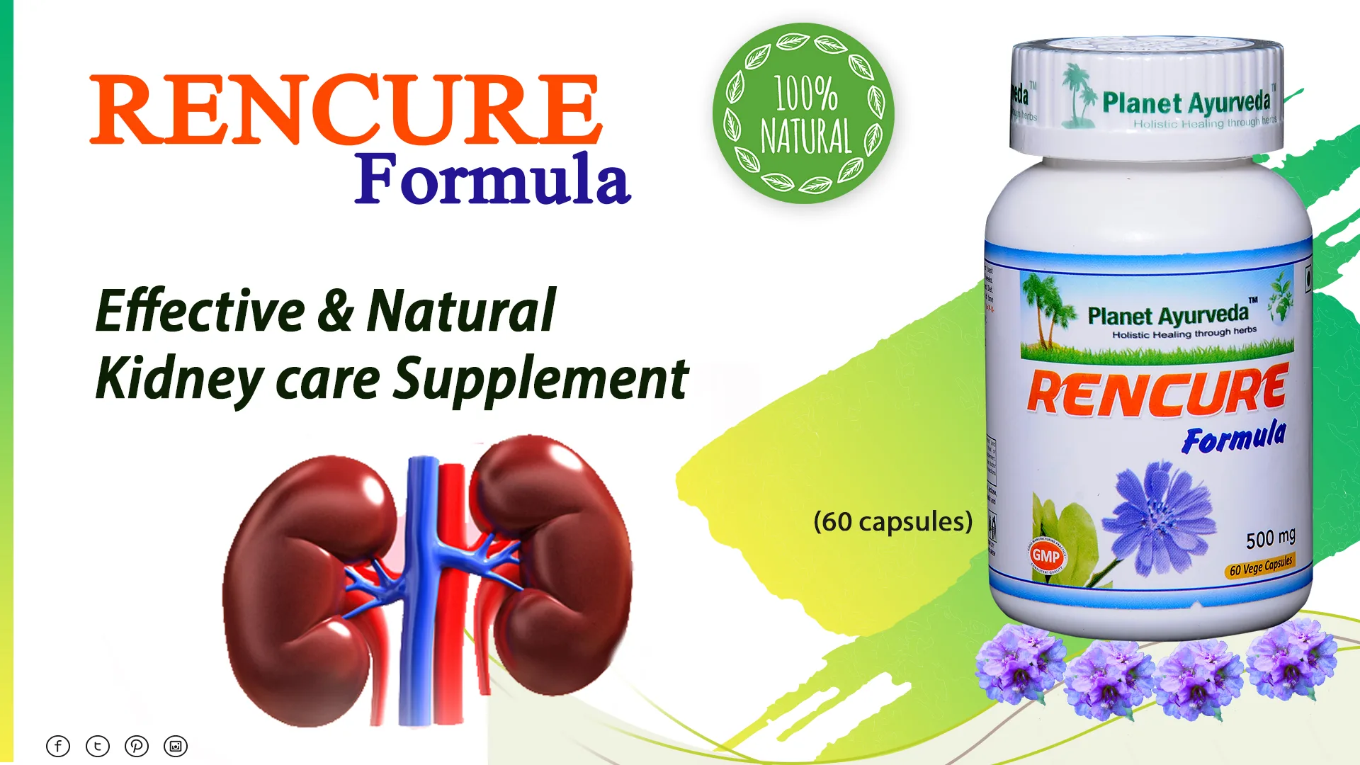 Planet Ayurveda Rencure Formula | Natural Kidney Support Capsules | Pure Herbal Urinary Care-4