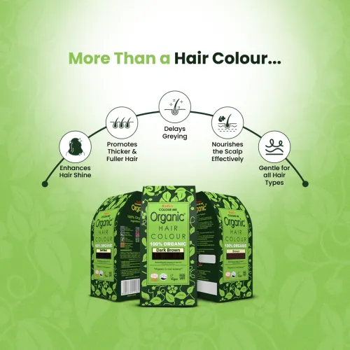 Radico Organic Hair Colour | 100% Herbal Hair Dye | Natural Grey Coverage-2