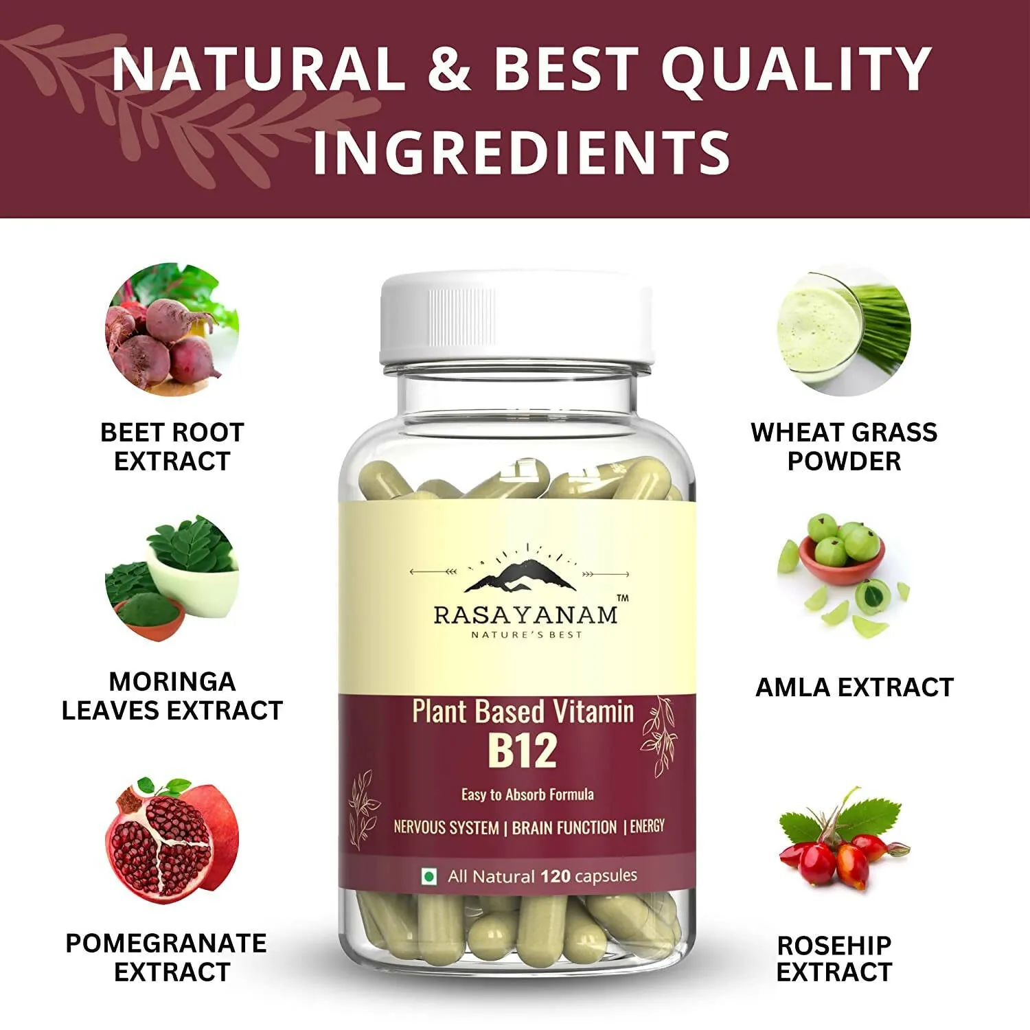Rasayanam Plant Based Vitamin B12 Capsules | Vegan Methylcobalamin Supplement | Enriched with 7 Superfoods for Energy & Nerve Support-2