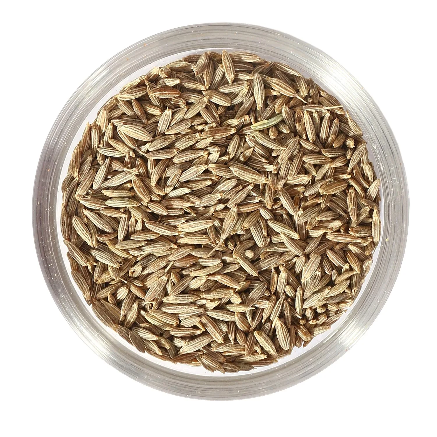 Salz & Aroma Cumin Seeds-3
