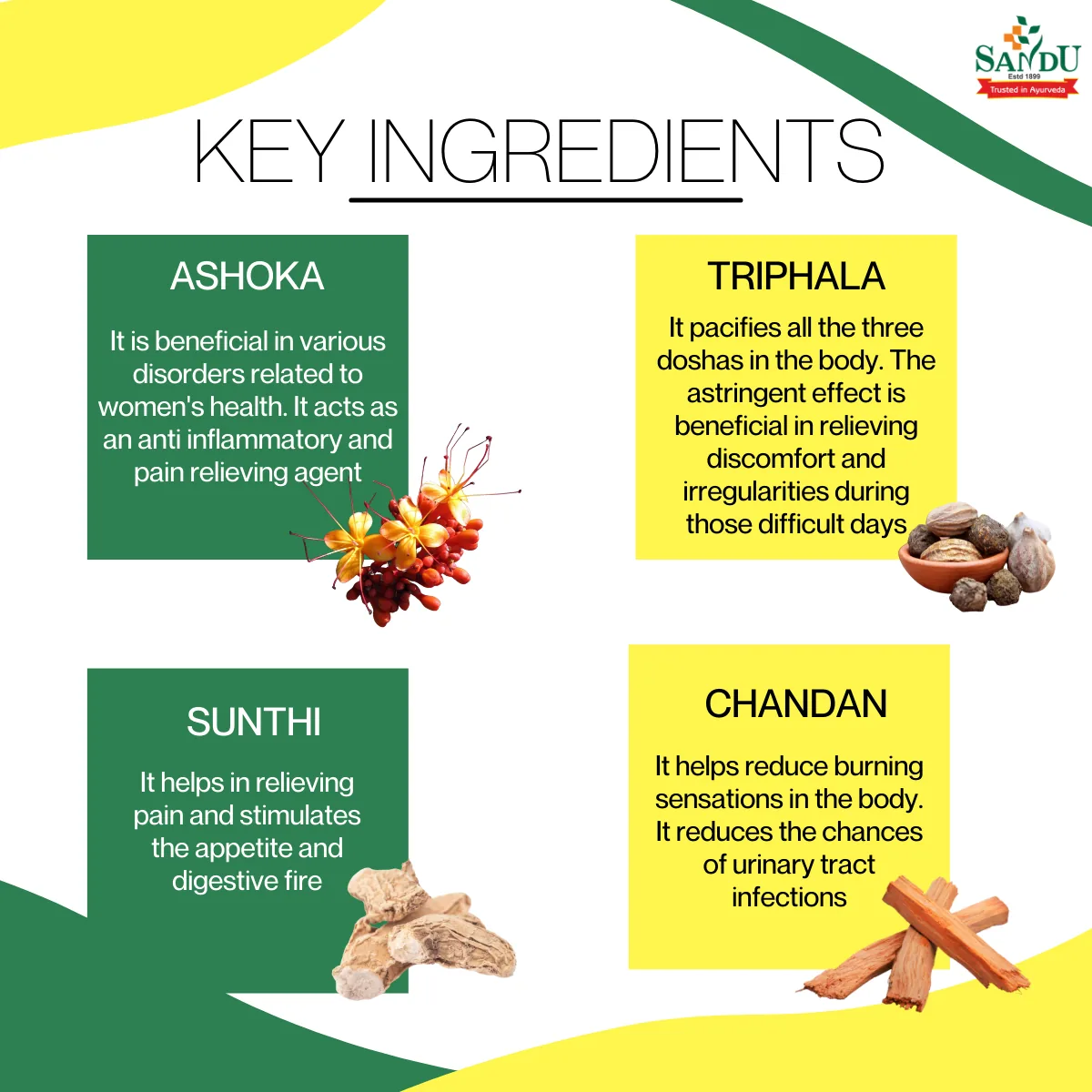 Sandu Ashokarishta | Ayurvedic Uterine Tonic | Hormonal Balance & Menstrual Support-1