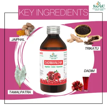 Sandu Dadimavaleha Syrup | Ayurvedic Digestive Tonic | Natural Acidity & Nausea Relief-2