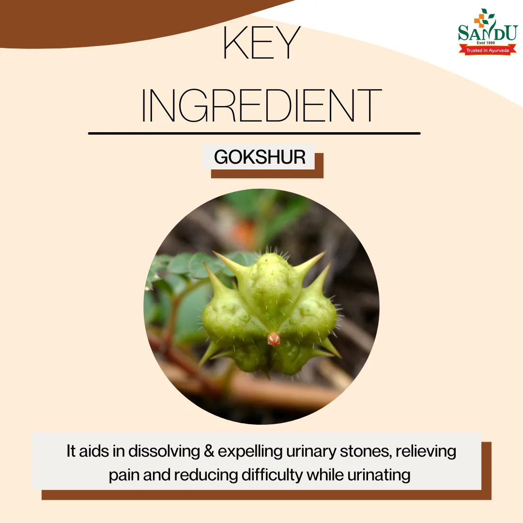 Sandu Gokshur Kadha | Ayurvedic Urinary Tonic | Kidney and Bladder Support-1