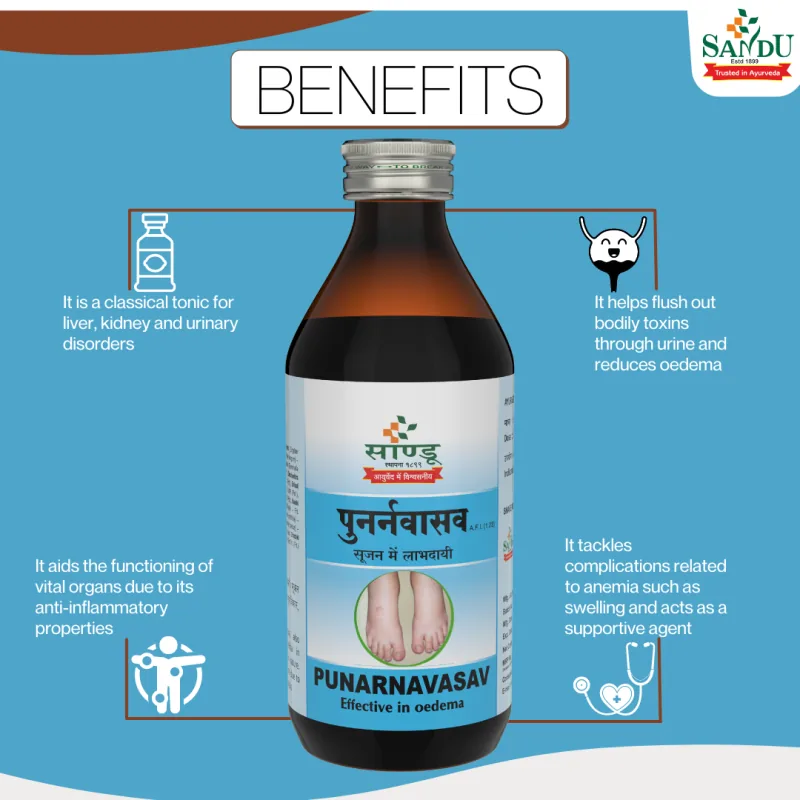 Sandu Punarnavasav | Ayurvedic Liquid Tonic | Kidney and Liver Support-3