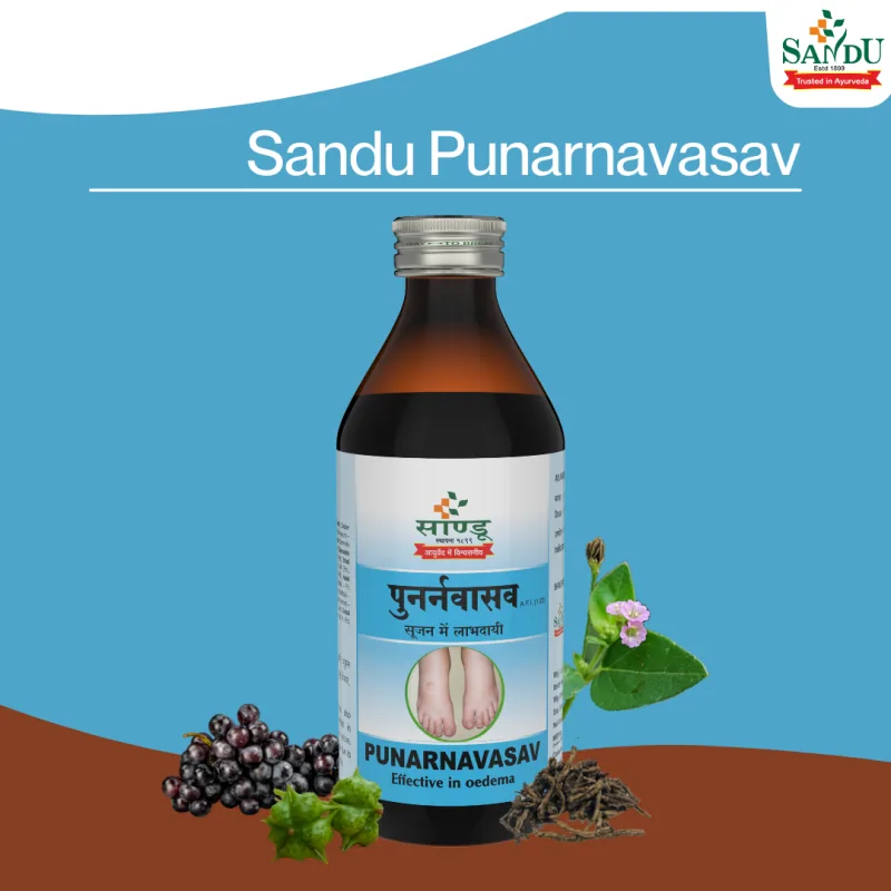 Sandu Punarnavasav | Ayurvedic Liquid Tonic | Kidney and Liver Support-4