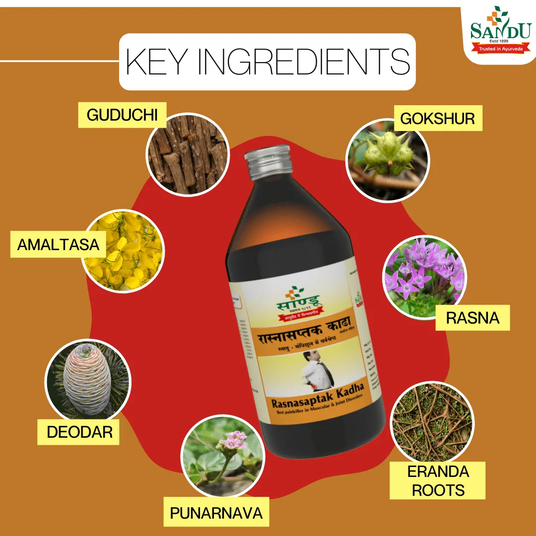 Sandu Rasnasaptak Kadha | Ayurvedic Joint Care Decoction | Traditional Vata-Balancing Herbal Formula-2