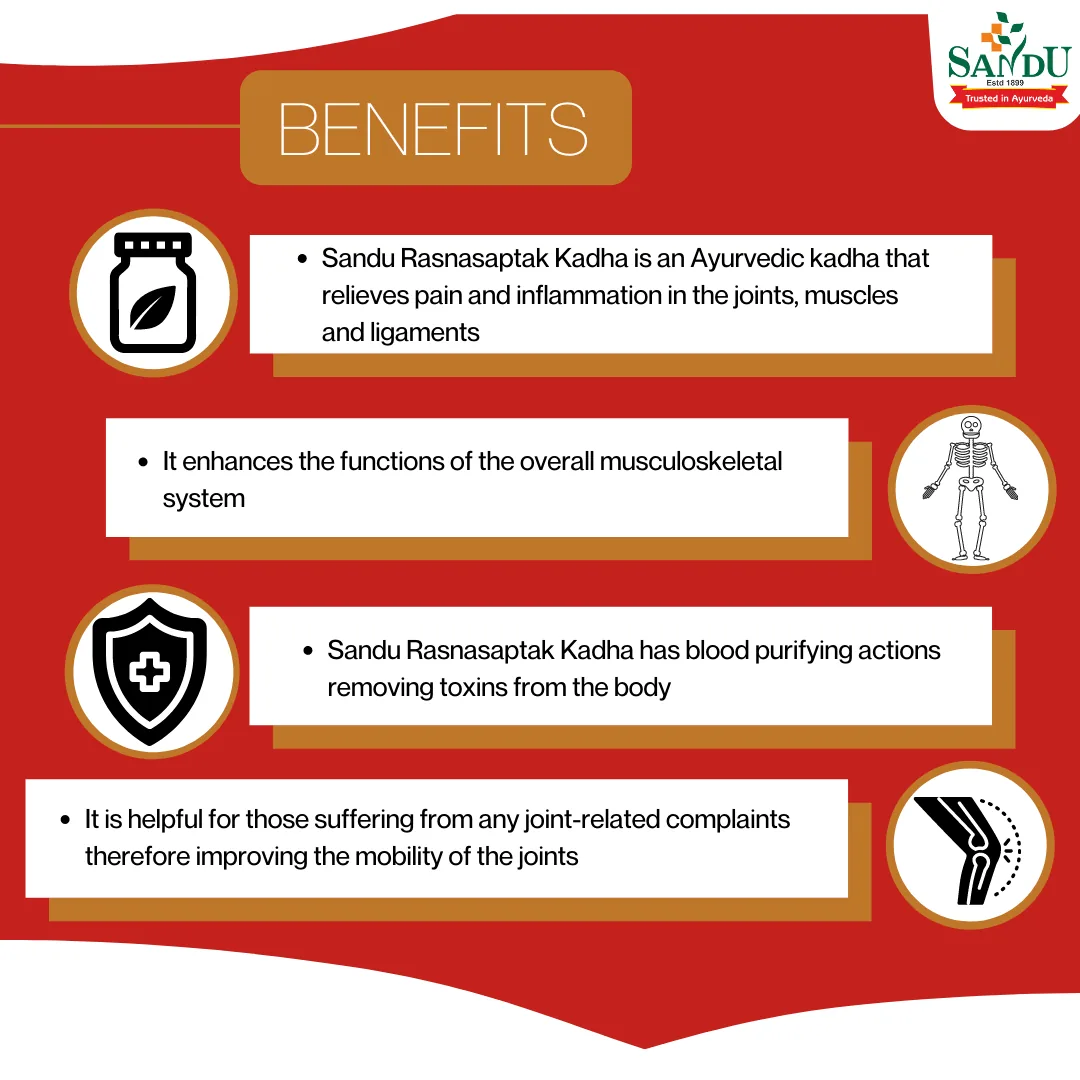 Sandu Rasnasaptak Kadha | Ayurvedic Joint Care Decoction | Traditional Vata-Balancing Herbal Formula-4