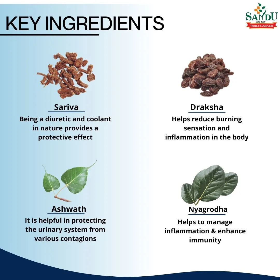 Sandu Sarivadyasav | Ayurvedic Blood Purifier | Herbal Tonic for Skin and Liver Health-3