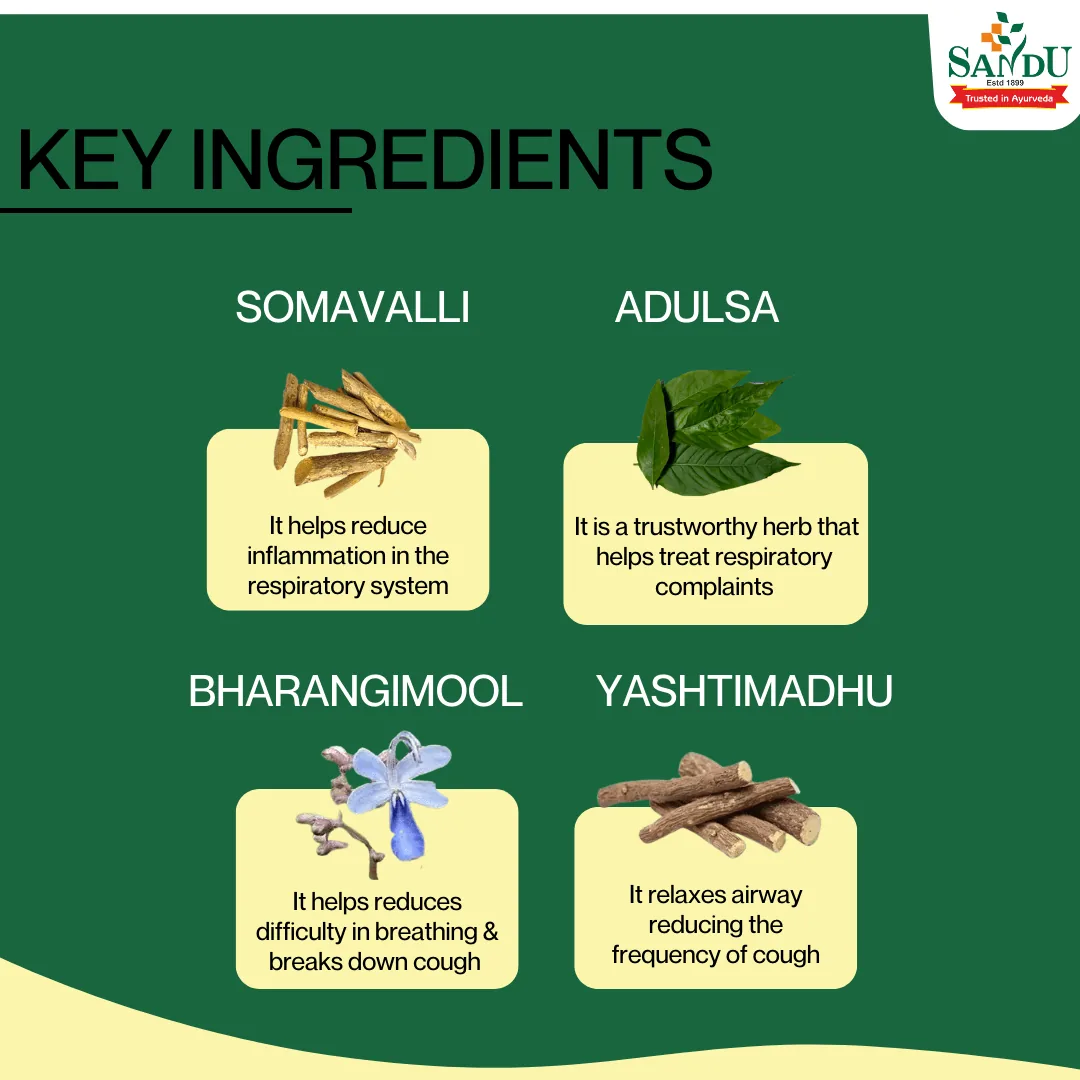 Sandu Somajeevani | Ayurvedic Respiratory Tonic | Natural Airway Support-3