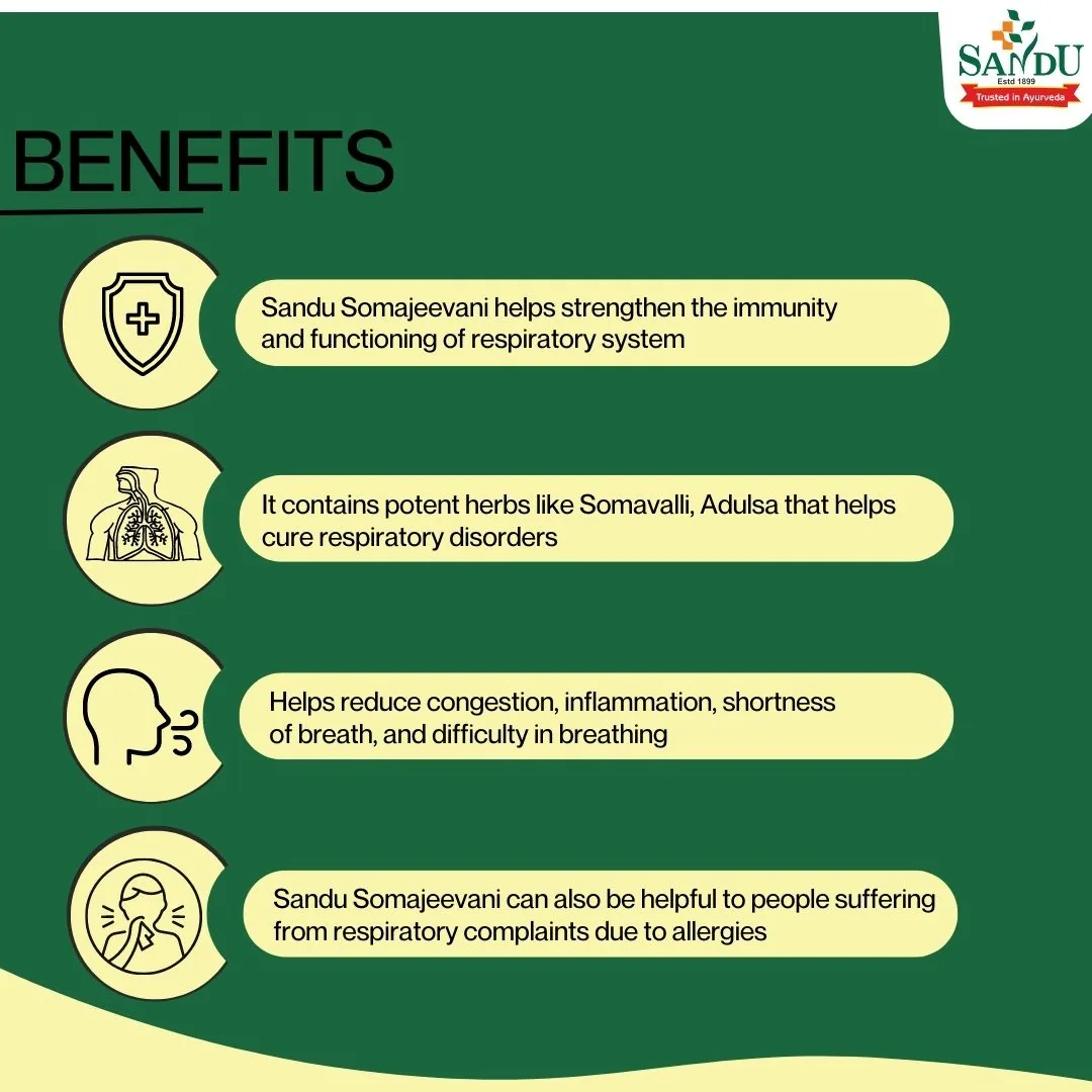 Sandu Somajeevani | Ayurvedic Respiratory Tonic | Natural Airway Support-5