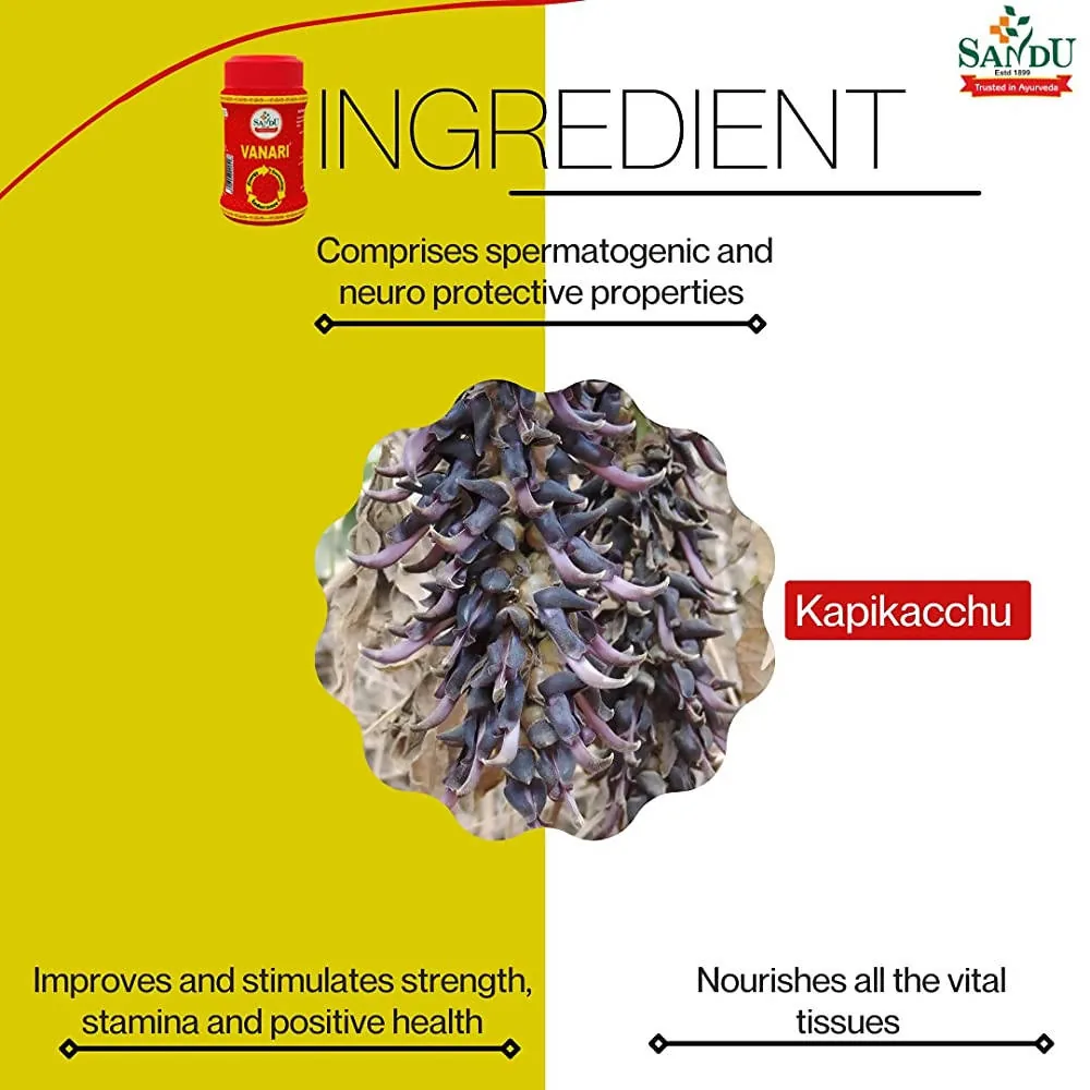 Sandu Vanari Granules | Ayurvedic Strength & Stamina Supplement | Natural Kapikacchu Formula-5