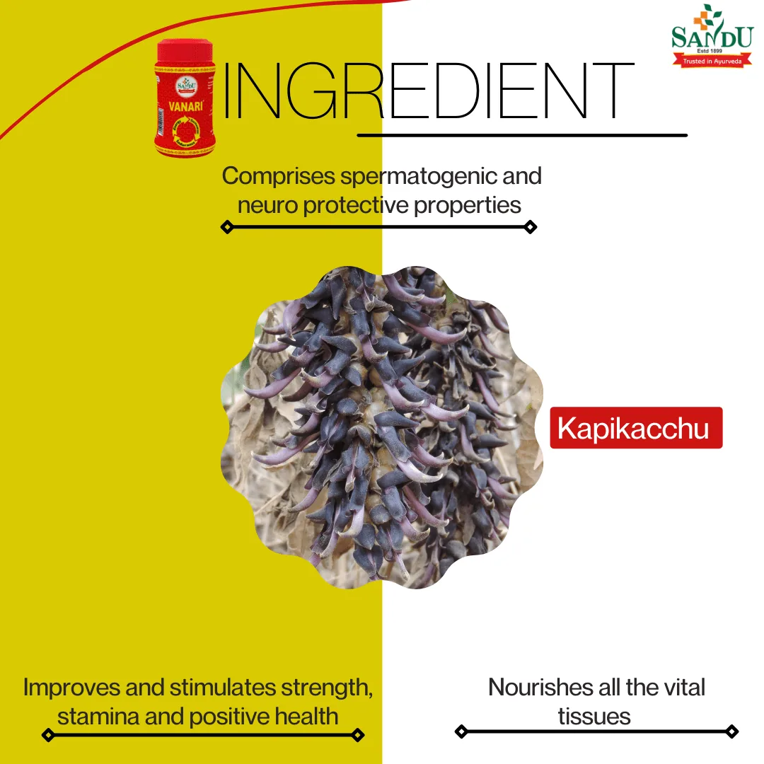 Sandu Vanari Kalpa | Ayurvedic Vitality Granules | Natural Stamina and Strength Booster-2