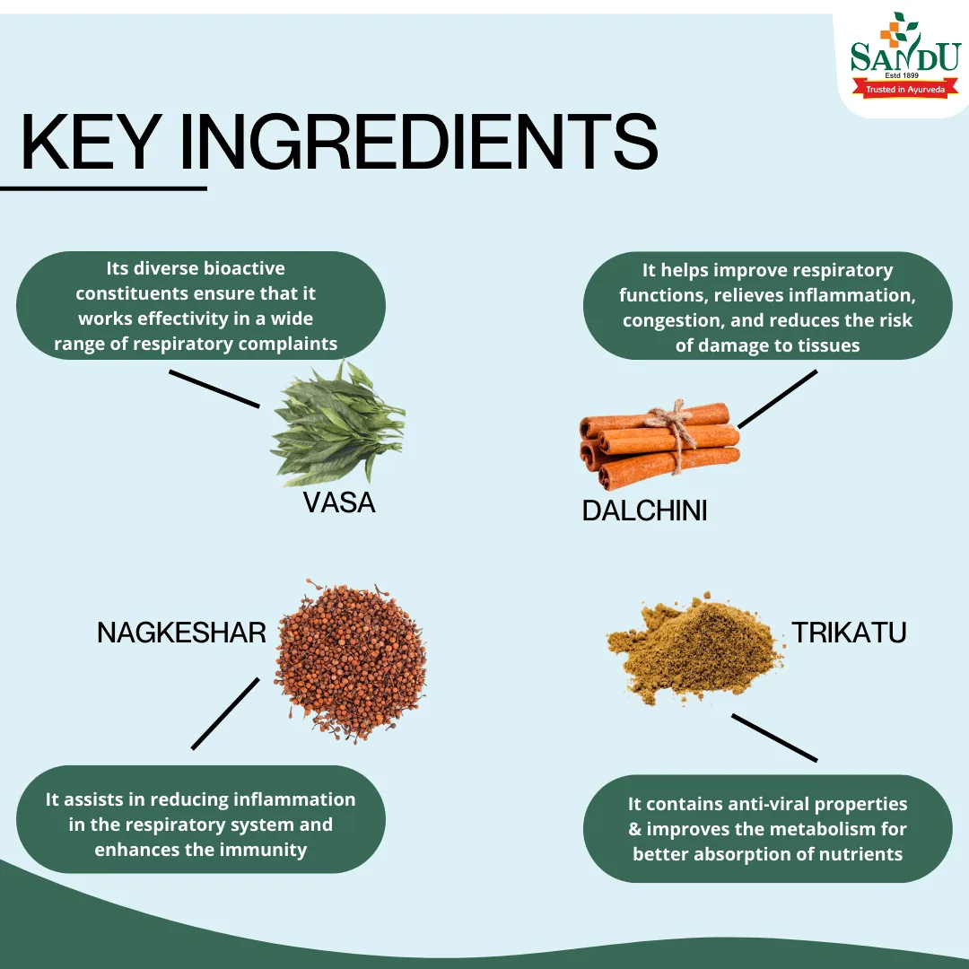 Sandu Vasakasav Syrup | Ayurvedic Respiratory Tonic | Natural Lung & Throat Support-3