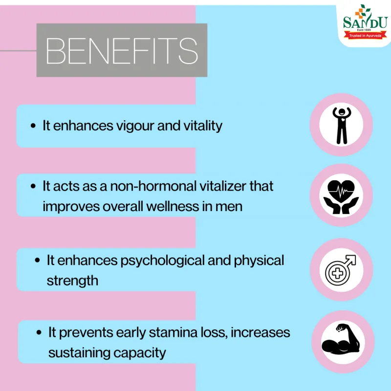 Sandu Vimfix Tablets | Ayurvedic Vitality Supplement | Natural Strength & Stamina Booster-4
