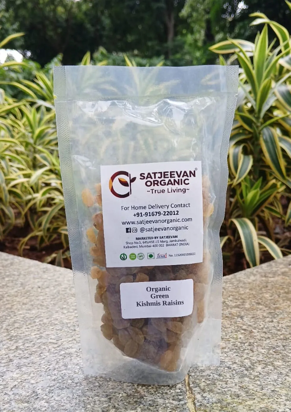 Satjeevan Organic Green Kishmis Raisins | Sun-Dried Green Grapes | Fiber-Rich Natural Sweetener-1