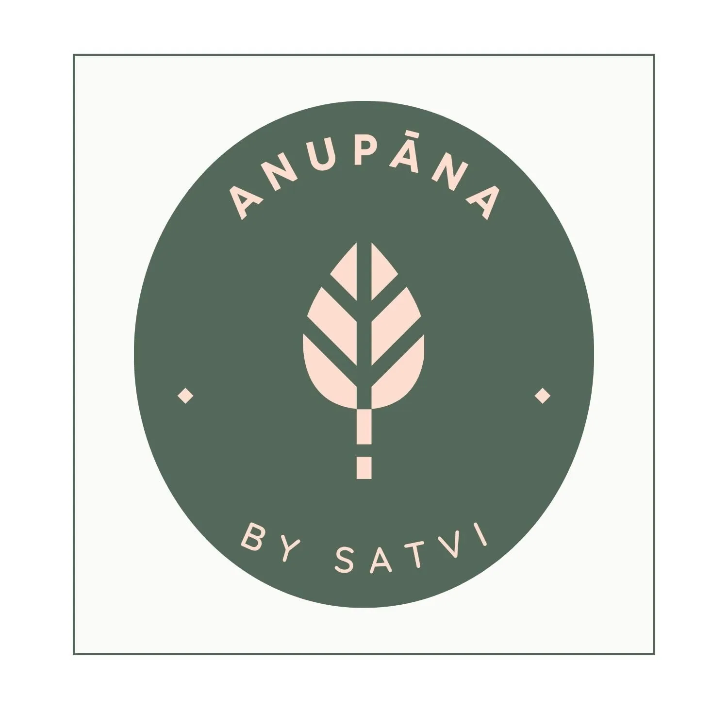 Satvi Wellness Punarnava Powder | Pure Boerhavia Diffusa Herbal Tea | Traditional Ayurvedic Rejuvenator-6