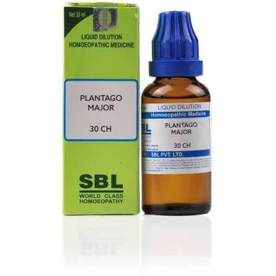 SBL Homeopathy Plantago Major Dilution | Natural Homeopathic Remedy | Relief for Toothache and Earache-1