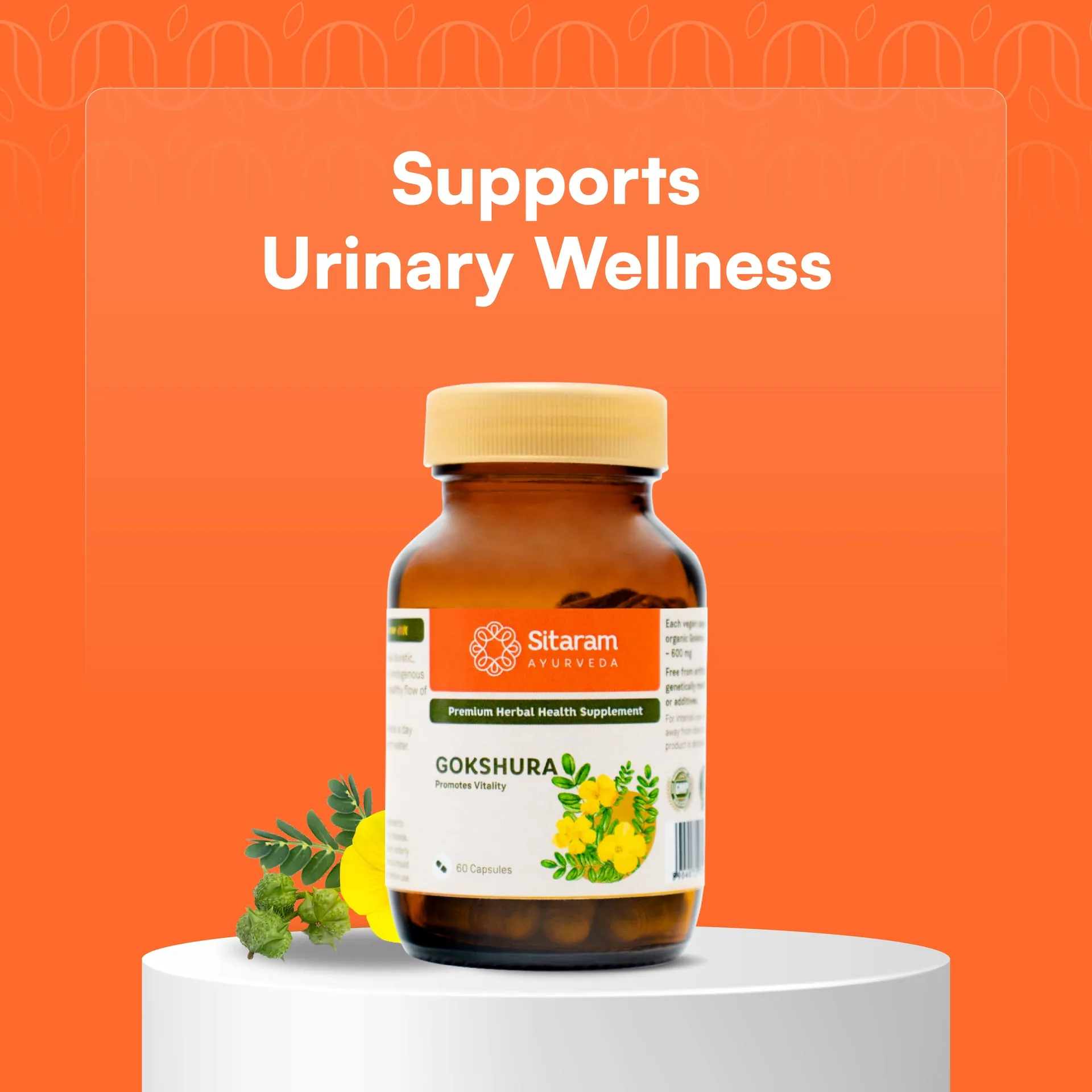 Sitaram Ayurveda Gokshura Capsules | Pure Tribulus Terrestris Extract | Vitality & Urinary Support-2