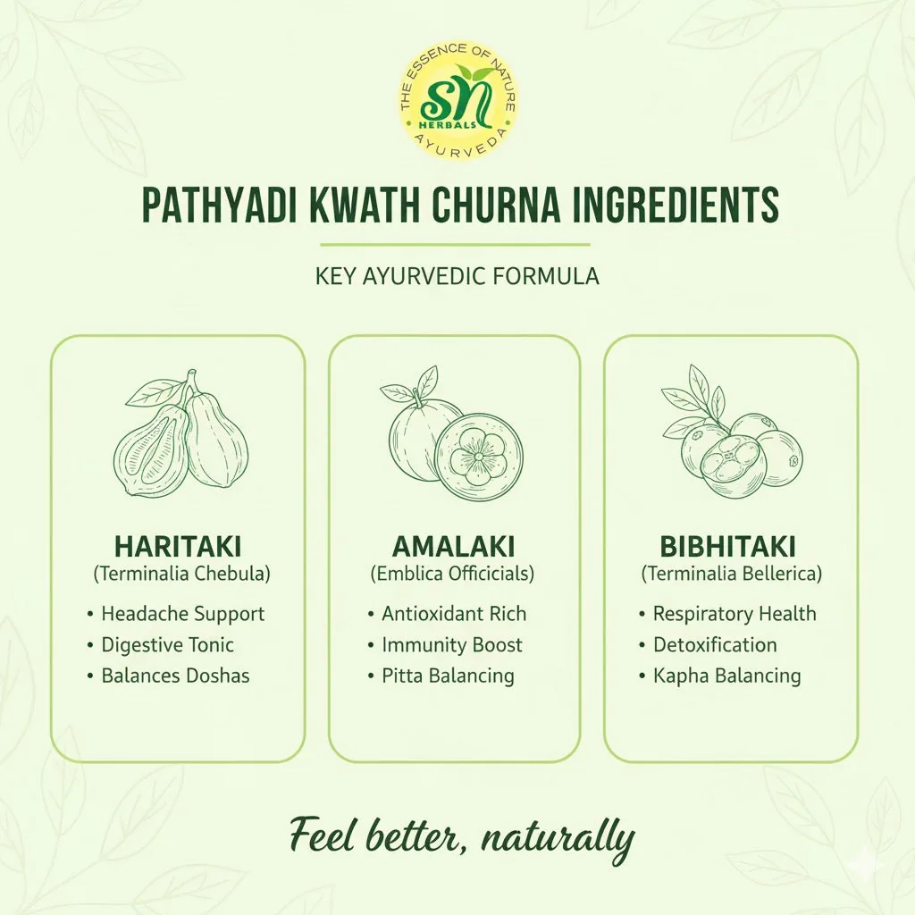 SN Herbals Pathyadi Kwath Churna | Traditional Ayurvedic Decoction Powder | Head Comfort & Immune Support-3