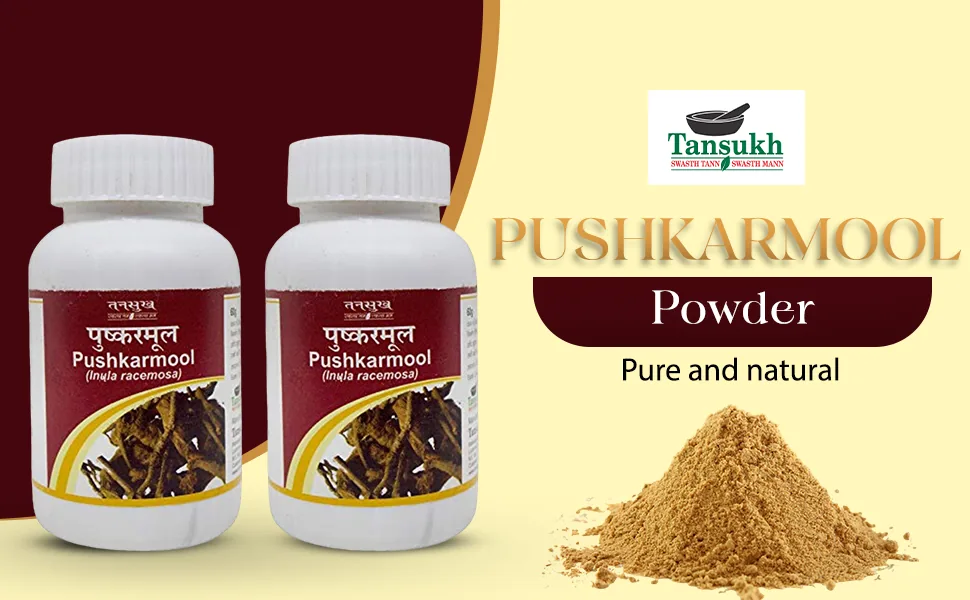 Tansukh Herbals Pushkarmool Powder | Pure Inula Racemosa Churna | Natural Respiratory and Lung Support-4