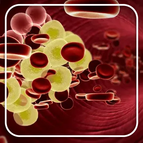 Tansukh Herbals Pushkarmool Powder | Pure Inula Racemosa Churna | Natural Respiratory and Lung Support-6