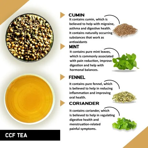 Teacurry CCF Tea | Cumin Coriander Fennel Herbal Infusion | Caffeine-Free Digestive Support-1