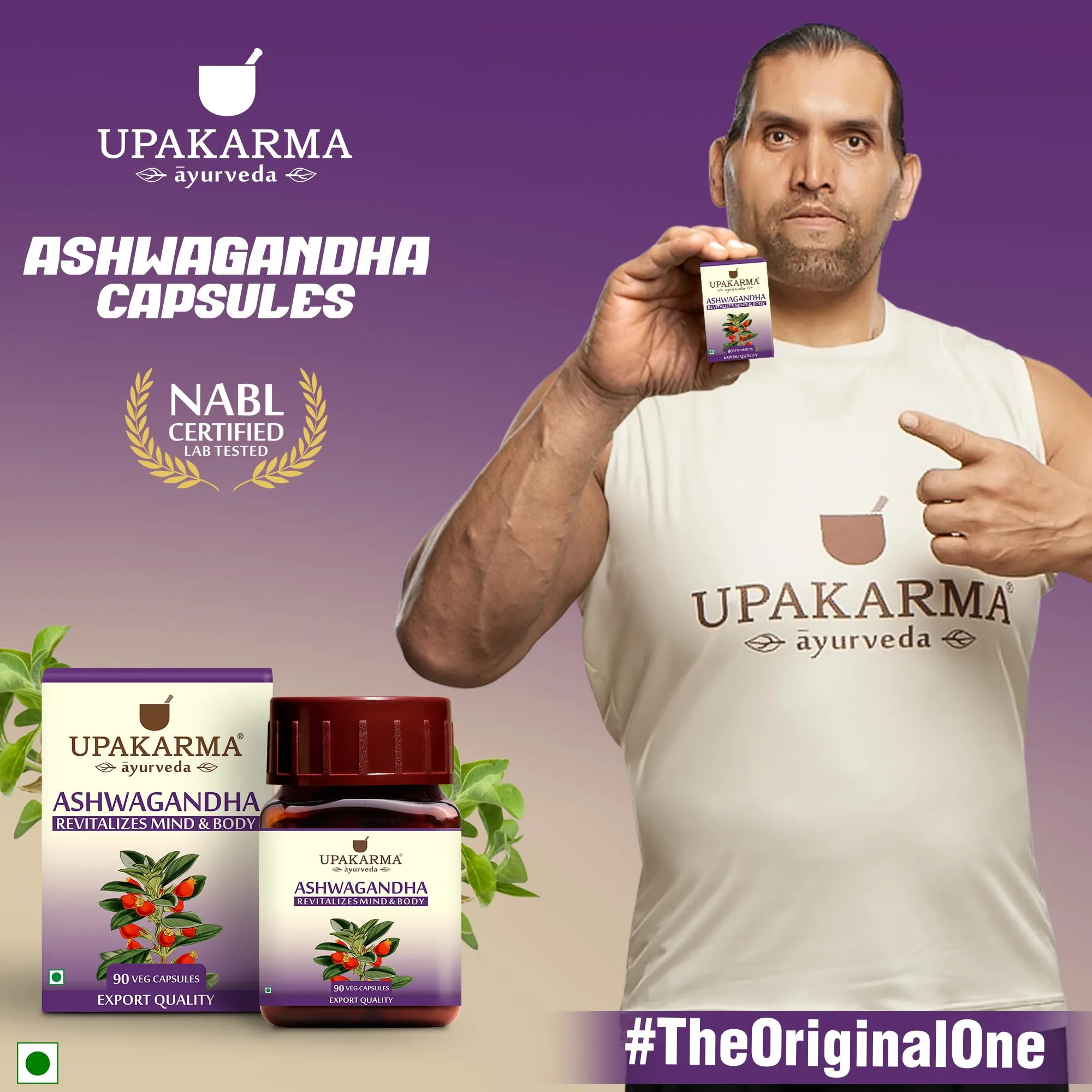 Upakarma Ayurveda SJ Caps | Pure Himalayan Shilajit Capsules | Natural Strength & Stamina Support-2