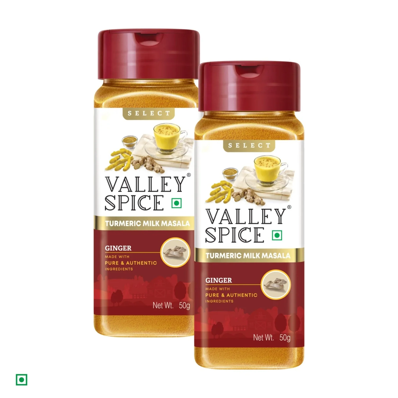 Valley Spice Turmeric Milk Masala - Ginger
