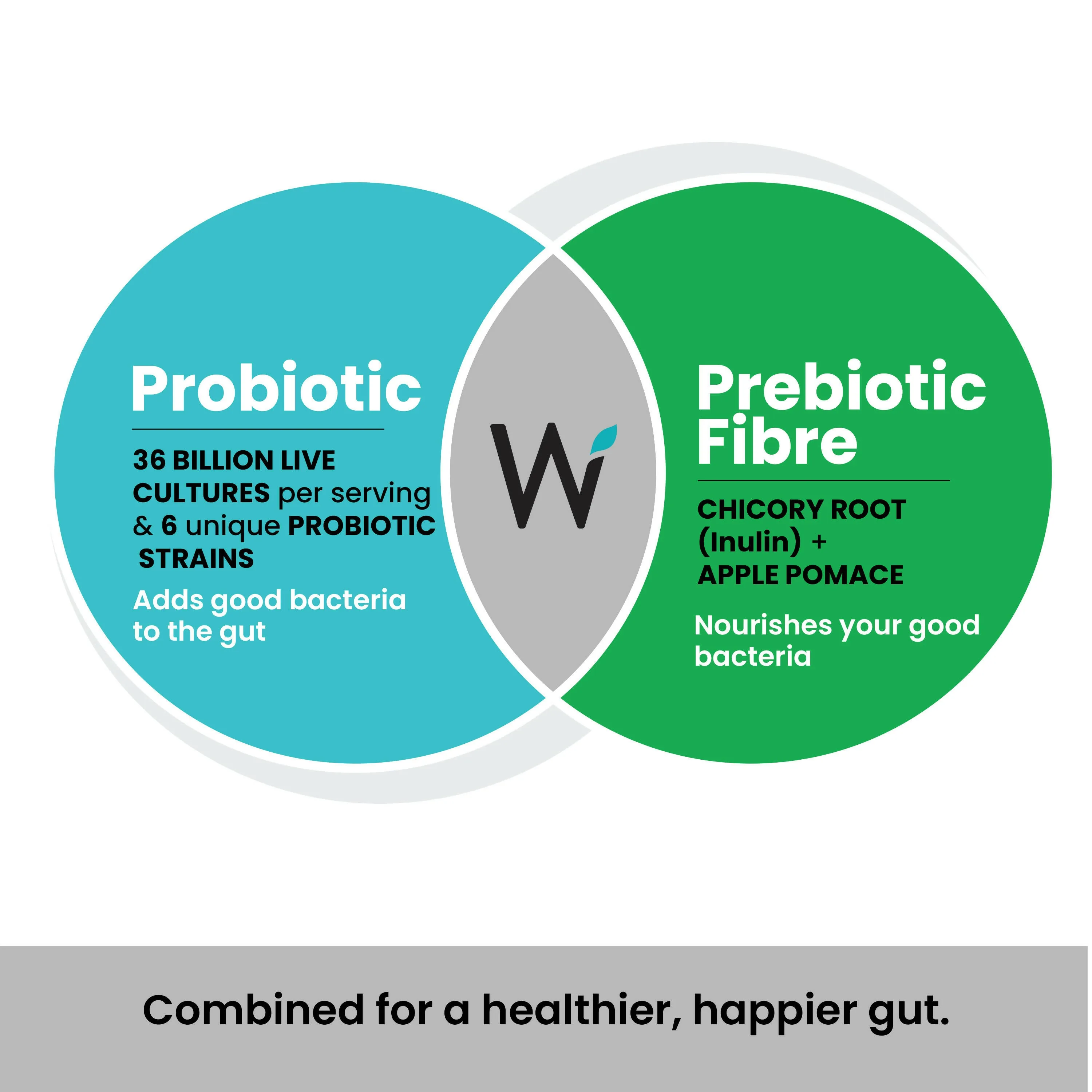 Wellbeing Nutrition Probiotic + Prebiotic Effervescent Tablets | Gut Health Supplement | Green Apple & Mint Flavor-2
