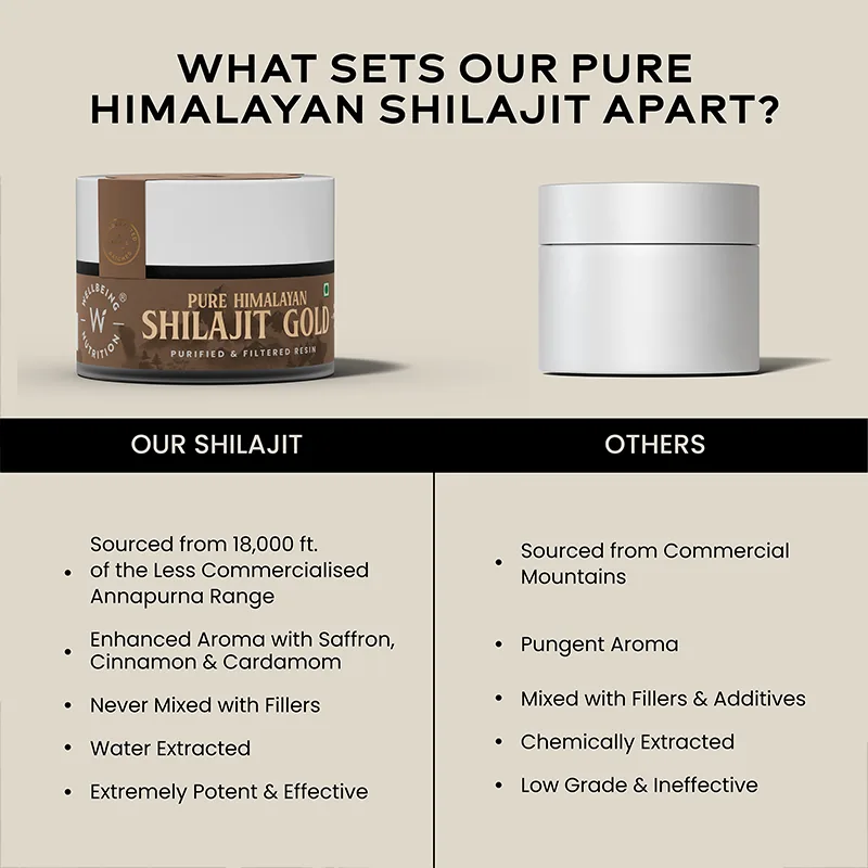 Wellbeing Nutrition Pure Himalayan SJ Gold Resin | Ayurvedic Shilajit with 24K Gold & Ashwagandha | Natural Stamina & Vitality Support-2