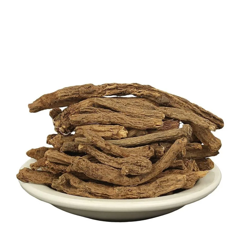 Yuvika Akarkara Irani | Raw Pellitory Root | Pure Ayurvedic Vitality Support-2