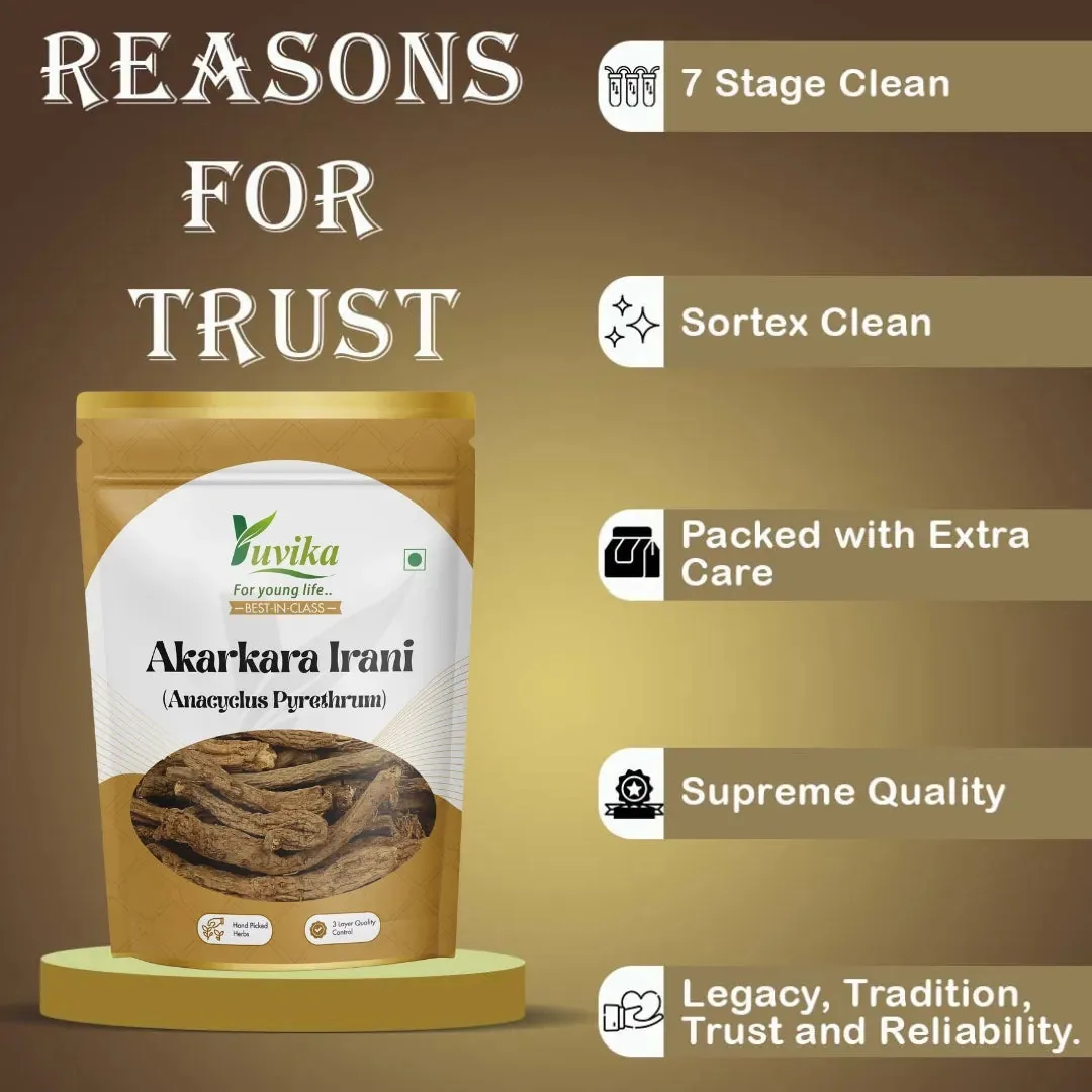 Yuvika Akarkara Irani | Raw Pellitory Root | Pure Ayurvedic Vitality Support-3