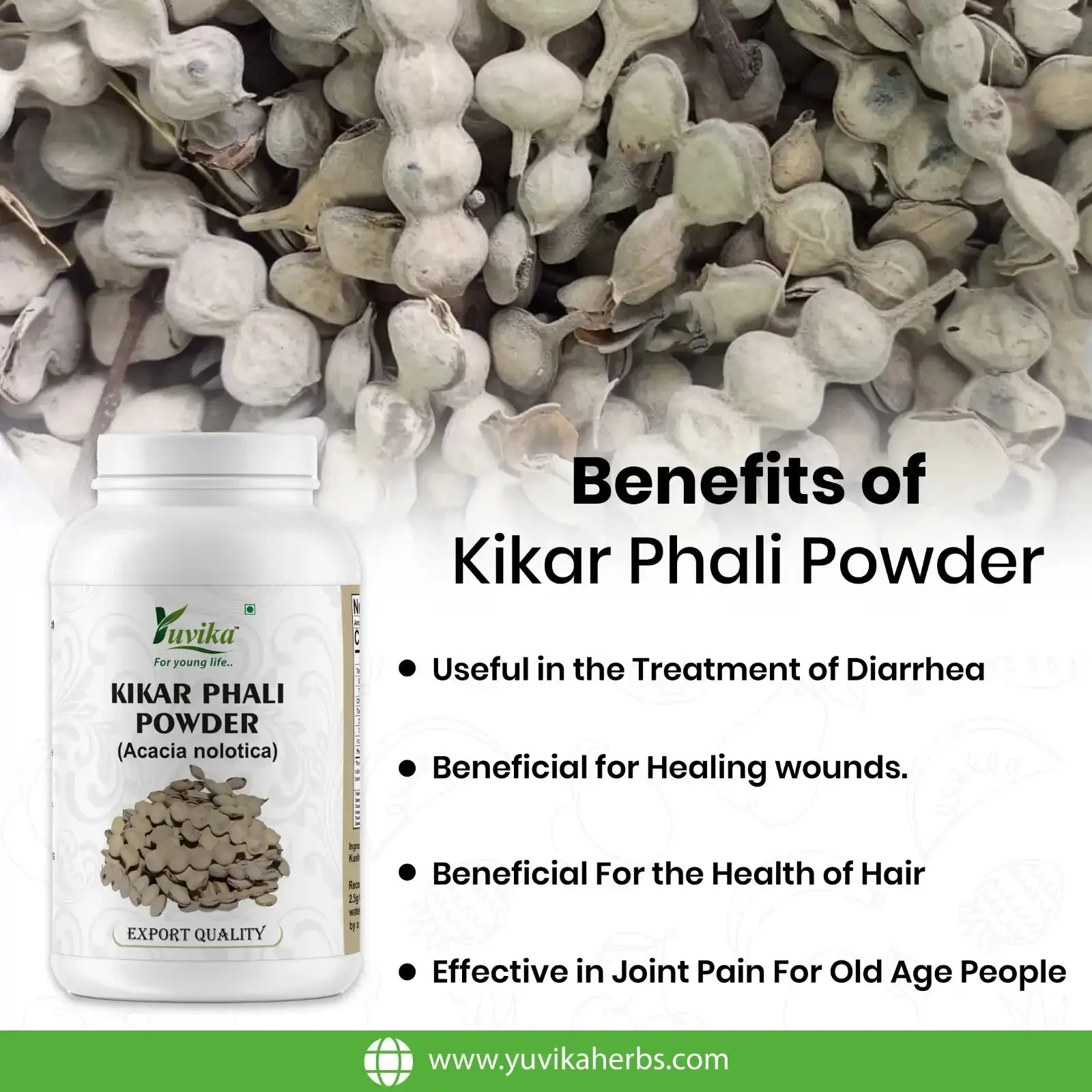 Yuvika Kikar Phali Powder | Pure Babool Phali | Natural Ayurvedic Acacia Nilotica for Oral and Digestive Wellness-5