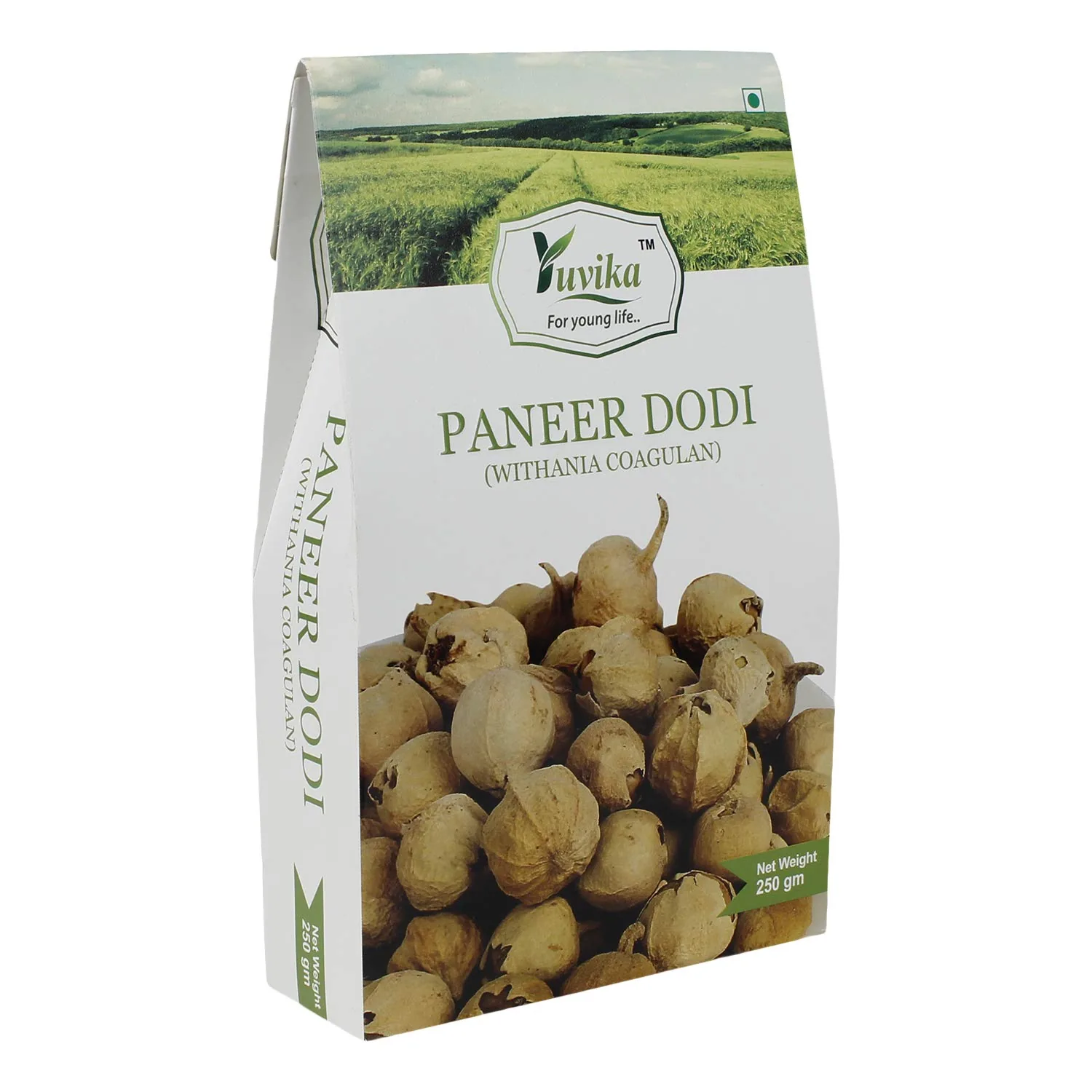 Yuvika Paneer Dodi Paneer Ke Phool Withania Coagulan