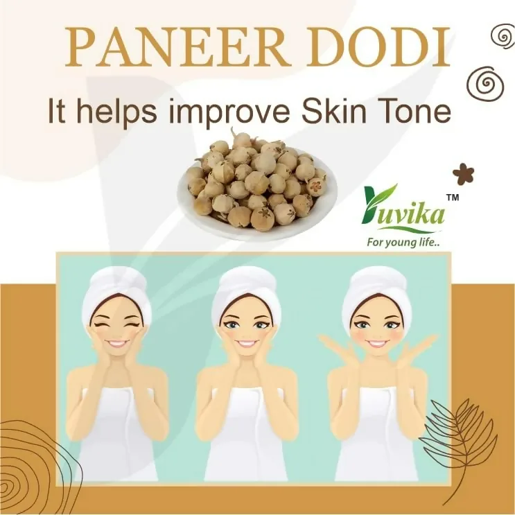 Yuvika Paneer Dodi | Natural Paneer Ke Phool | Traditional Ayurvedic Herb for Wellness-5