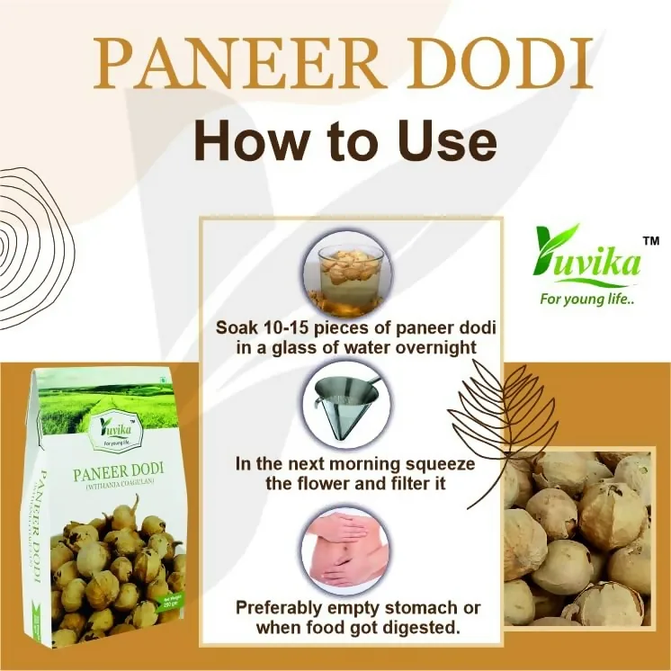 Yuvika Paneer Dodi | Natural Paneer Ke Phool | Traditional Ayurvedic Herb for Wellness-6