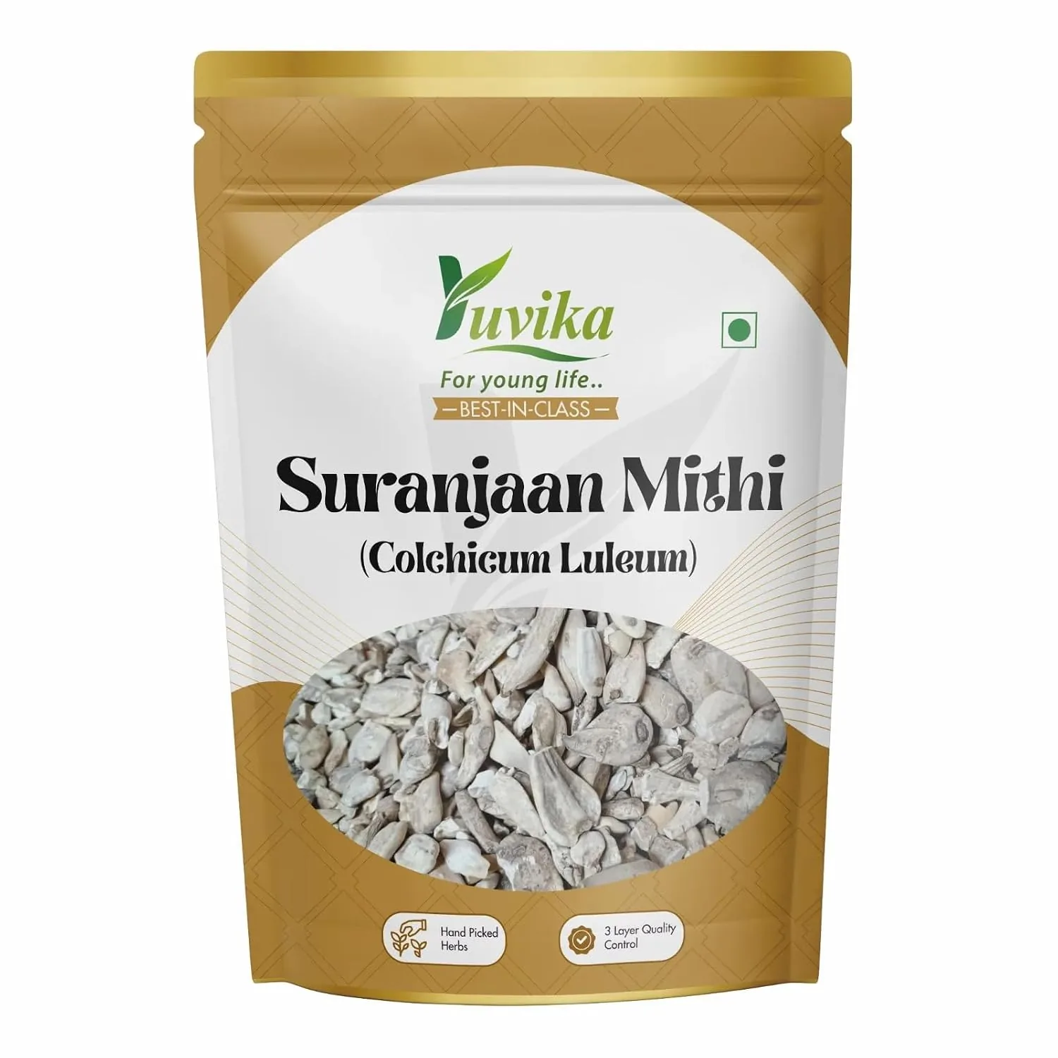 Yuvika Suranjaan Mithi Suranjan Sweet Colchicum Luleum
